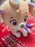 汪汪队立大功（PAW PATROL）毛绒玩具陪睡玩偶经典款珊瑚中号坐姿公仔男女孩儿童生日礼物 实拍图