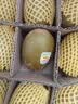 佳沛（zespri）新西兰 新果季 阳光金奇异果12粒特大果单果124-146g 猕猴桃 实拍图