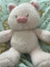 名创优品（MINISO）福莉丝猪系列-乖乖坐姿公仔毛绒玩具玩偶抱枕娃娃生日礼物女 实拍图