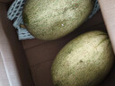 京鲜生 海南哈密瓜西州蜜/西周蜜  2粒5-7斤  生鲜水果礼盒  实拍图