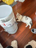 霍尼韦尔（Honeywell）宠物空气净化器吸猫毛除过敏源猫猫搭子 猫毛净化器杀菌消毒除异味KJ360F-C22W 实拍图