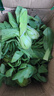【东东买菜】四季小青菜自种大棚小油菜现摘超市涮火锅时令蔬菜 河南小青菜5斤装 净重 实拍图