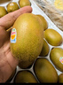 佳沛（zespri）新西兰 新果季 阳光金奇异果10粒巨大果单果146-175g 猕猴桃 实拍图