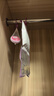 老管家薰衣草除湿袋230g*9可挂式干燥剂室内房间衣柜吸湿防霉防潮剂 实拍图