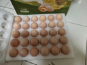 京鲜生柴鸡蛋30枚 3斤 无抗生素 谷物喂养鲜鸡蛋 源头直发 实拍图