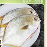 翔泰海南二去金鲳鱼700g/2条去鳃去内脏免处理生鲜鱼类 海鲜水产 实拍图