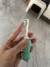 贝博氏babybox婴儿牙刷细软毛儿童牙刷乳牙牙刷1-3岁领结熊2支装套装 实拍图