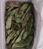 京鲜生山东新鲜油豆角3斤装新鲜蔬菜源头直发包邮 实拍图