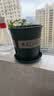 九千谷花盆加仑盆塑料花盆家用园艺种植小花盆带托盘14*14cm 2个装5051 实拍图