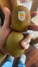 佳沛（zespri）新西兰 新果季 阳光金奇异果12粒特大果单果124-146g 猕猴桃 实拍图