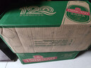 青岛啤酒（TsingTao）经典拉格 550ml*18听 加量不加价 整箱装踏春送礼 实拍图