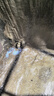 三棵树漆外墙透明防水胶 免砸砖屋顶防水卫生间窗台外墙防水涂料 2kg 实拍图