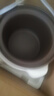 美的（Midea）电炖锅电砂锅 电炖盅 陶瓷煲汤锅炖汤锅紫陶锅3L燕窝炖盅煮粥宝宝辅食锅电煮锅炖锅MD-DGE3056 实拍图