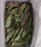 京鲜生山东新鲜油豆角3斤装新鲜蔬菜源头直发包邮 实拍图