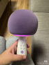 唱吧小巨蛋G2504B星球 手机K歌麦克风 无线蓝牙音箱 话筒音响一体自带声卡 家用唱歌神器生日礼物 实拍图