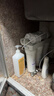 九阳（Joyoung）净水器机家用厨下矿物质净饮水自来水商用前置过超滤器机1283 实拍图