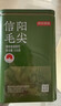 京东京造鲜来多26新茶信阳毛尖绿茶250g明前茶叶栗香嫩芽送礼盒自己喝自营 实拍图