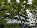 力动（RIDO）多功能哑铃凳卧推凳家用健身器材健身椅飞鸟凳TD50 实拍图