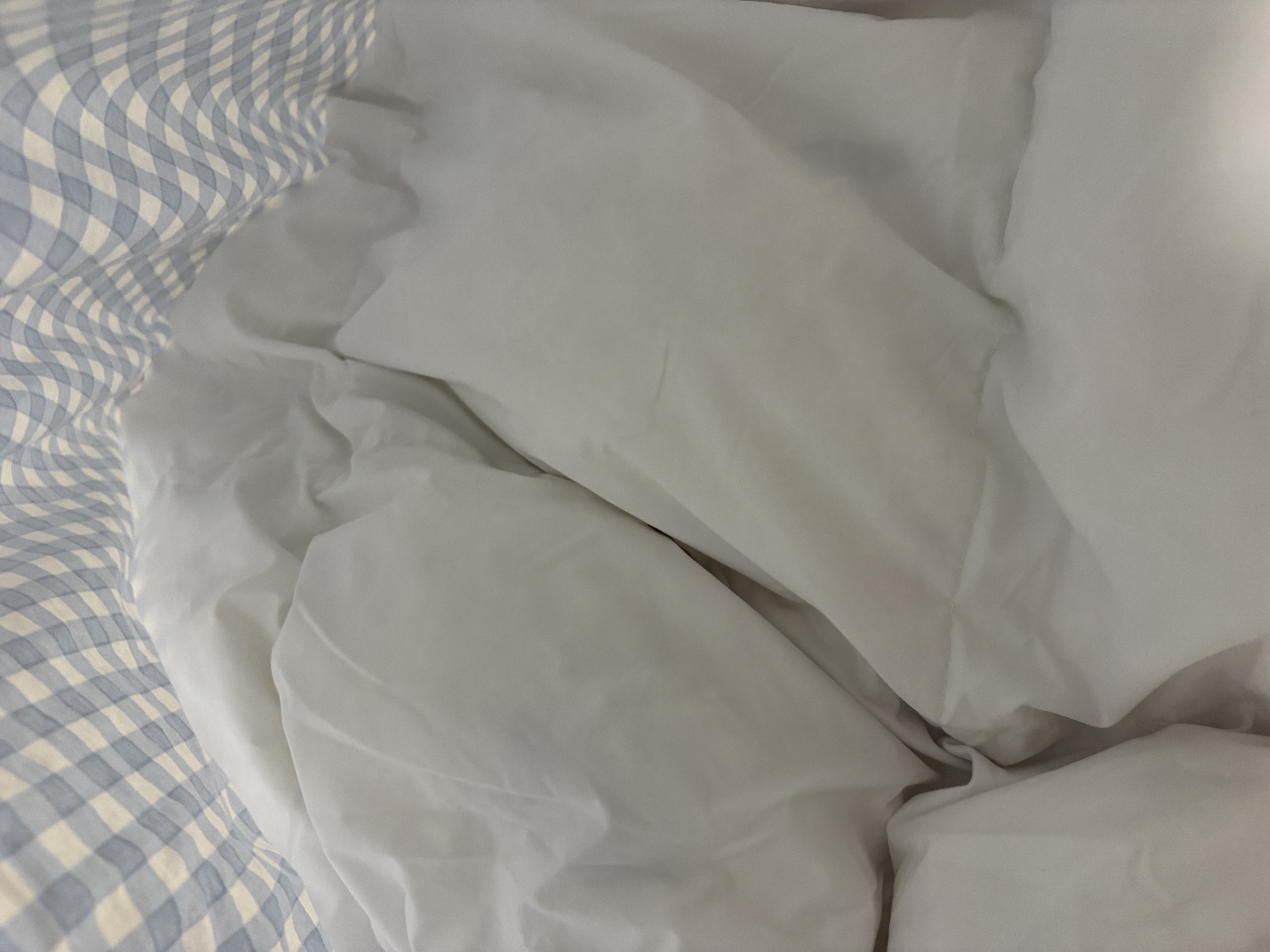 无印良品100%白鹅绒丝被子羽毛被冬被芯约5.9斤【填充1800g】200*230cm 实拍图