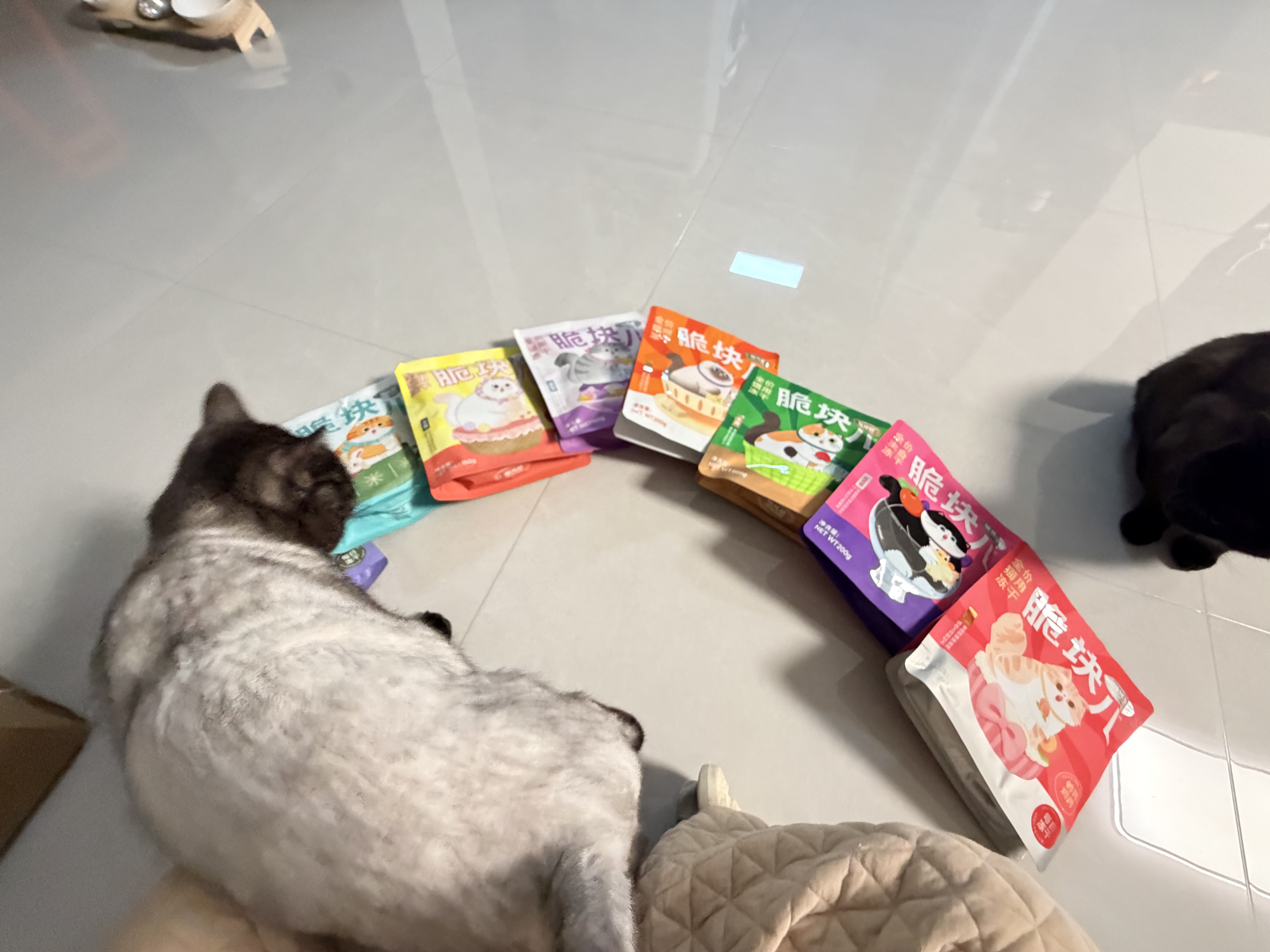 喵梵思 脆块儿全价主食冻干持续锁鲜成猫幼猫冻干粮物理磨牙200g/160g 鹌鹑鸡肉200g*1包 实拍图