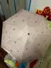 红叶の秀红叶雨伞女upf50+超轻太阳伞防晒防紫外线遮阳伞晴雨两用伞太阳伞 日系熊猫-米色 三折 实拍图