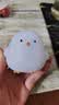 卡通小鸡仔小夜灯高颜值卧室可爱装饰发光玩具儿童生日分享小礼物 小鸡仔/白色 实拍图