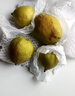 京鲜生 新疆库尔勒香梨 4.5斤装 稀缺 单果140g+ 生鲜水果 实拍图