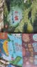 童书 小学生趣味大科学（病毒细菌、天气、南极北极、自然灾害、热带雨林、海洋、垃圾分类、种子）自然科普认知 儿童绘本 套装8册 6-12岁  实拍图