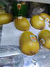 佳沛（zespri）新西兰 新果季 阳光金奇异果10粒巨大果单果146-175g 猕猴桃 实拍图