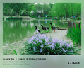 松下S9（20-60mm F3.5-5.6）（Panasonic）全画幅微单 实时Lut 滤镜直出 连接app极速分享 灰银 实拍图
