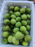 志褚 新鲜青梅鲜果 高山福建诏安青梅果鲜酸脆梅子泡酒青梅酵素 青梅【大果5斤】 实拍图