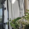 三思植物补光灯仿太阳全光谱 全光谱植物灯 盆栽花卉-20W二头分区补光 实拍图