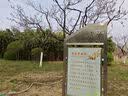 杉杉【凉感桑蚕丝】新款短袖T恤男士夏季轻奢通勤翻领上衣男装POLO衫 实拍图