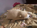 LIV HEART日本北极熊睡觉抱枕毛绒玩具布娃娃公仔陪伴玩偶生日礼物 北极熊咖啡棕(常规款) M号 实拍图