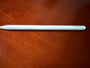 Apple/苹果 Pencil Pro 磁吸触控笔手写笔苹果笔电容笔书写绘画ipad笔 适用于iPad Pro/Air/mini机型 实拍图