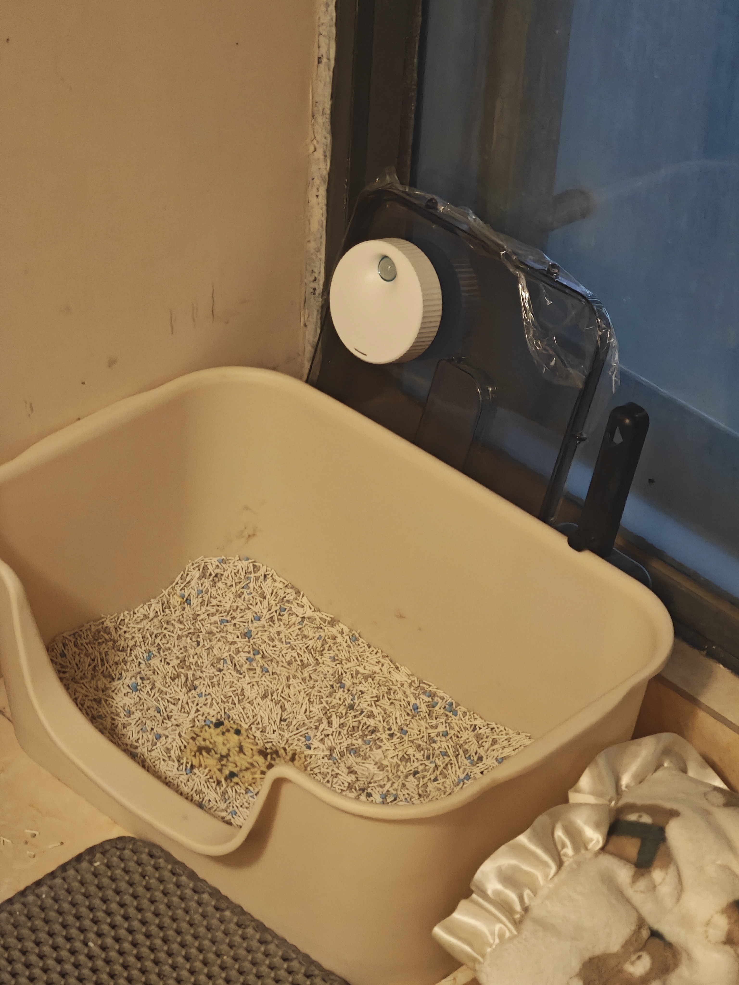 有哈（uah）有哈宠物净味器2代宠物除臭器猫狗去尿味猫砂盆除臭剂杀菌除异味 实拍图