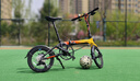 大行（DAHON）折叠自行车配件P8挡泥板16-20寸泥瓦K3公路车全包V刹碟刹挡泥板d5 16寸碟V通用挡泥板 实拍图