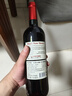 CANIS FAMILIARIS布多格原瓶进口红酒 西拉干红葡萄酒 750ml 单瓶装 实拍图