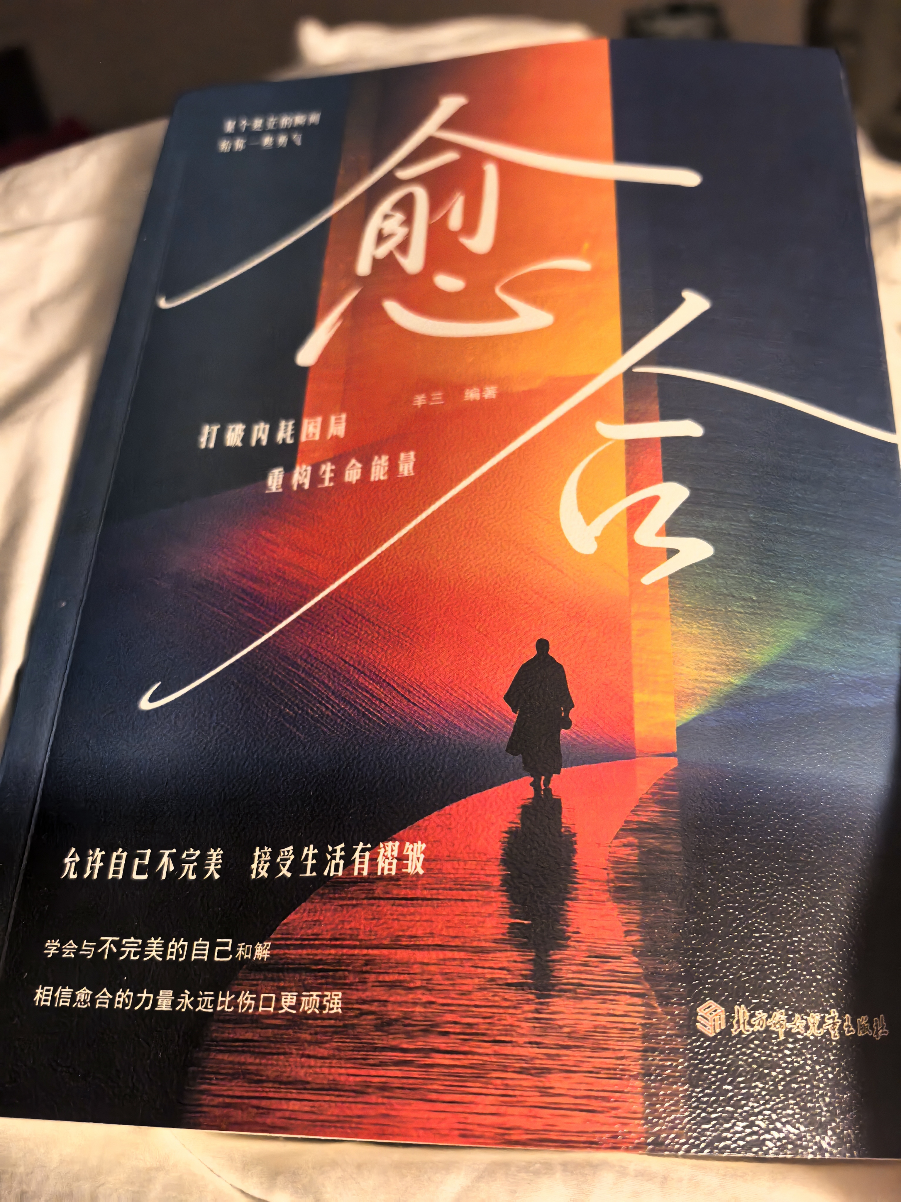愈合 心中之城 从内耗到从容停止内耗焦虑自责拖延心理学励志书籍做自己的心理医生自我觉醒心理健康成长指南重塑内心堡垒 【单册】愈合 实拍图