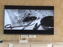 海信电视大薄荷E52Q 65吋超薄贴墙 无倒影低反屏 前置回音壁 U+MiniLED 限时补贴 壁纸世界杯定制电视 实拍图