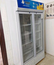 北极熊（BEIJIXIONG）展示柜冷藏柜冰柜商用饮料柜直冷风冷风直冷保鲜柜超市玻璃门冰箱立式啤酒柜 双门下机直冷蓝白款（688L） 实拍图