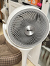 格力（GREE）【织风者AI+Pro版】一级能效直流变频轻音节能超静音空气循环扇家用语音遥控电风扇家用净化落地扇 实拍图