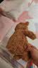 Jellycat巴塞罗熊动物毛绒玩偶儿童安抚公仔小熊潮玩送礼生日礼物 巴塞罗熊 Medium 实拍图