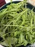 槿馐芝麻菜250g-2500g新鲜蔬菜沙拉食材生菜西餐箭菜新鲜采摘基地直发 新鲜芝麻菜500g 晒单实拍图