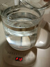 小熊（Bear）养生壶玻璃1.8L大容量智能花茶壶煮水壶家用多功能煮茶壶烧水泡茶壶恒温壶保温一体全自动电热水壶 【无滤网】 长效保温YSH-C18Z5 1.8L 实拍图