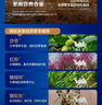 原始黄金新疆骆驼奶粉330g*12罐益生菌无蔗糖驼乳粉高钙成人奶粉 实拍图