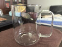 富光高硼硅玻璃杯花茶杯子单层果汁杯牛奶杯带把带刻度水杯男女 实拍图