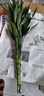 富贵竹水培植物室内招财绿植插瓶插花净化空气办公桌面转运竹 富贵竹75cm8支 实拍图