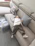 帕沙曼贵妃沙发布艺现代简约大小户型客厅可调节转角棉麻沙发组合2351ZF 2.92米双人+贵妃【TY24猫抓布】 【豪华版】 空气棉+轻弹棉+紫罗兰+竹炭海绵 实拍图