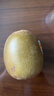 佳沛（zespri）新西兰阳光金奇异果 8个装 特大果单果重约124-146g 水果猕猴桃 实拍图